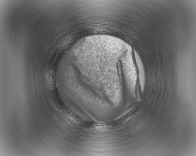 X0000051900228200507222050