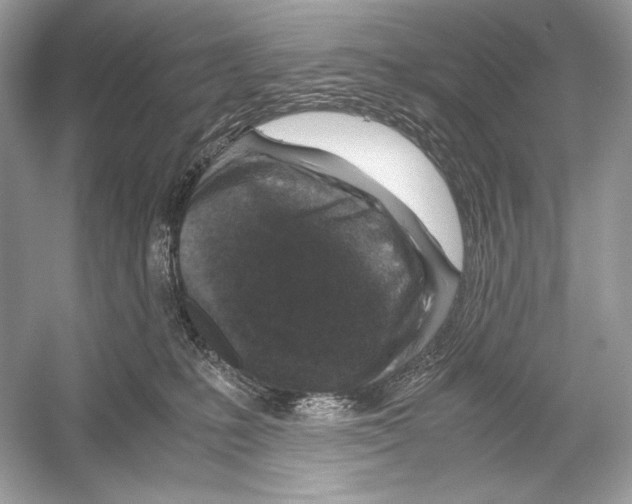 X0000051900231200507222050