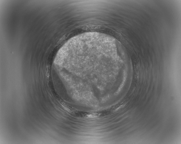 X0000051900232200507222050
