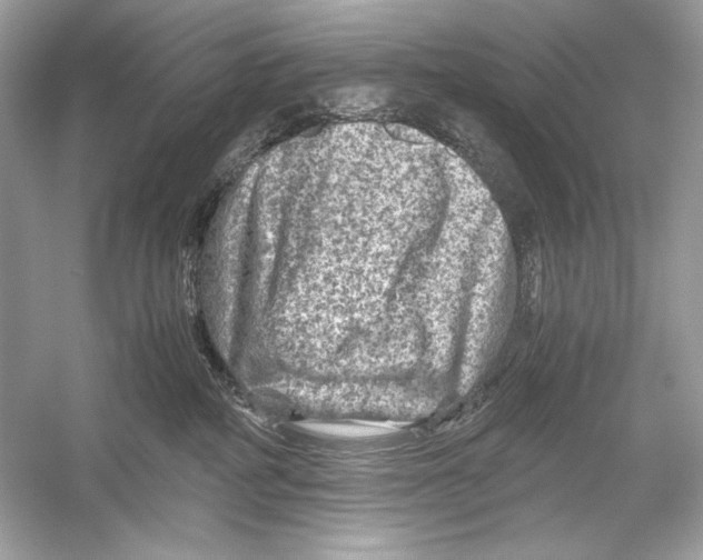 X0000051900234200507222050