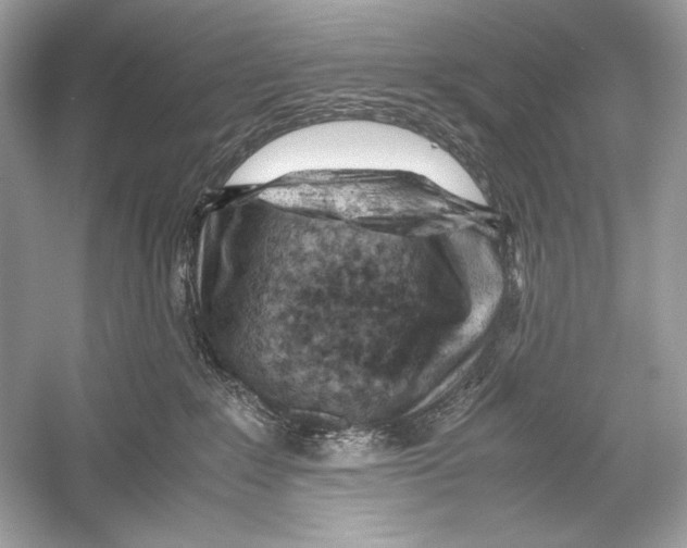 X0000051900235200507222050