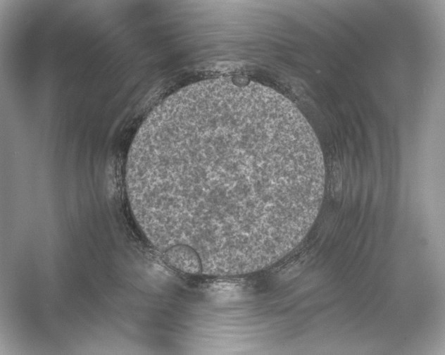 X0000051900236200507222050