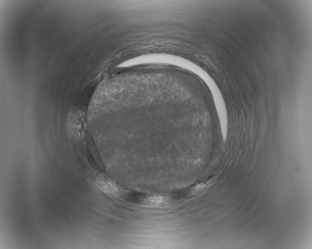 X0000051900237200507222050