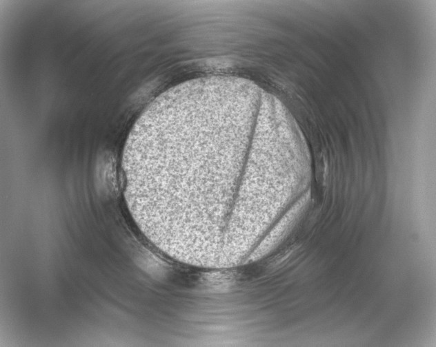 X0000051900238200507222050