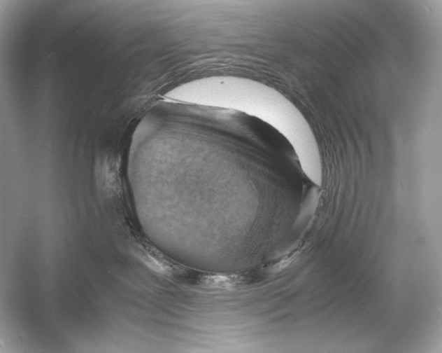 X0000051900239200507222050