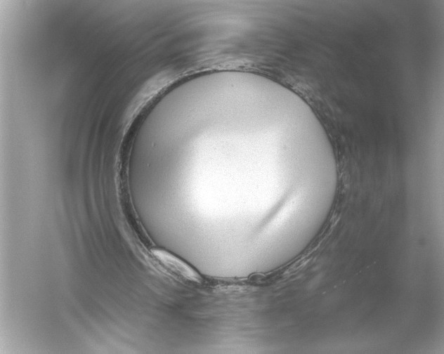 X0000051900242200507222049