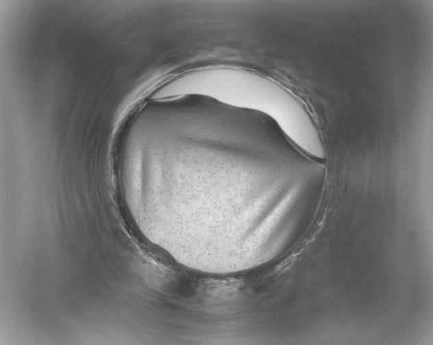 X0000051900245200507222049