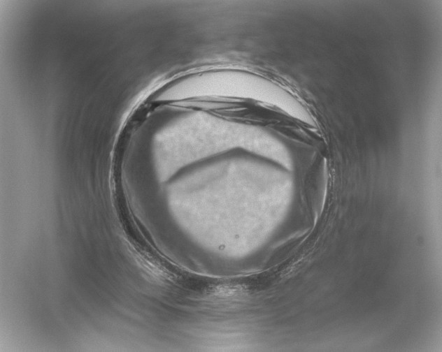 X0000051900248200507222049