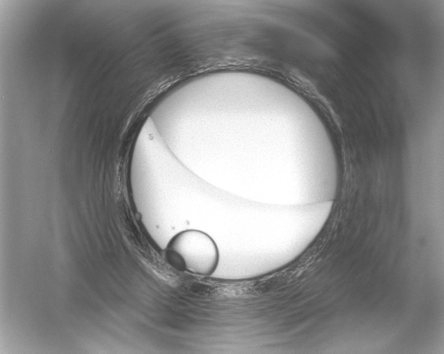 X0000051900250200507222049
