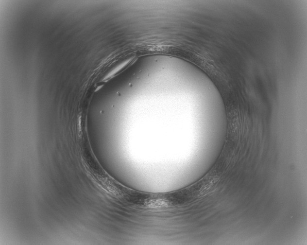 X0000051900262200507222049