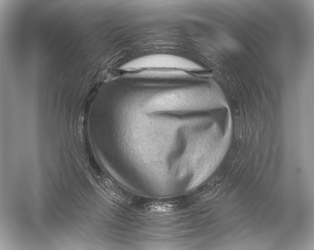 X0000051900263200507222050