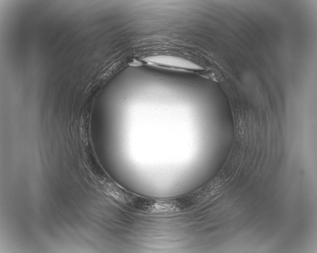 X0000051900270200507222050
