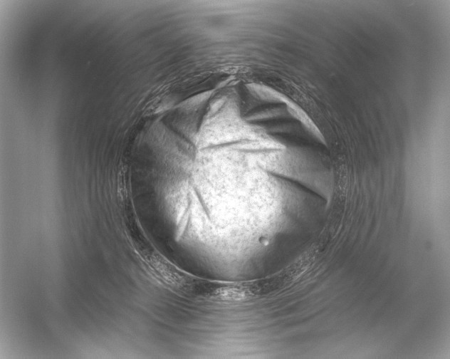 X0000051900272200507222050