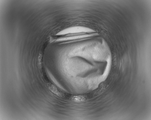 X0000051900275200507222050