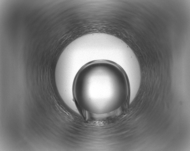 X0000051900276200507222050