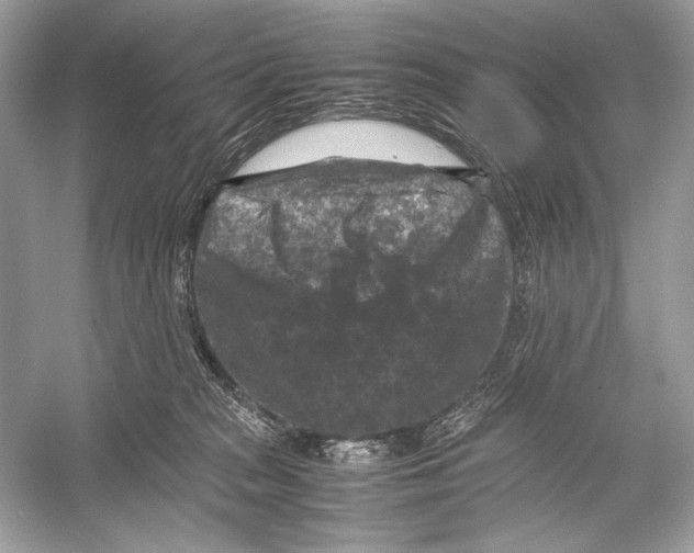 X0000051900277200507222050