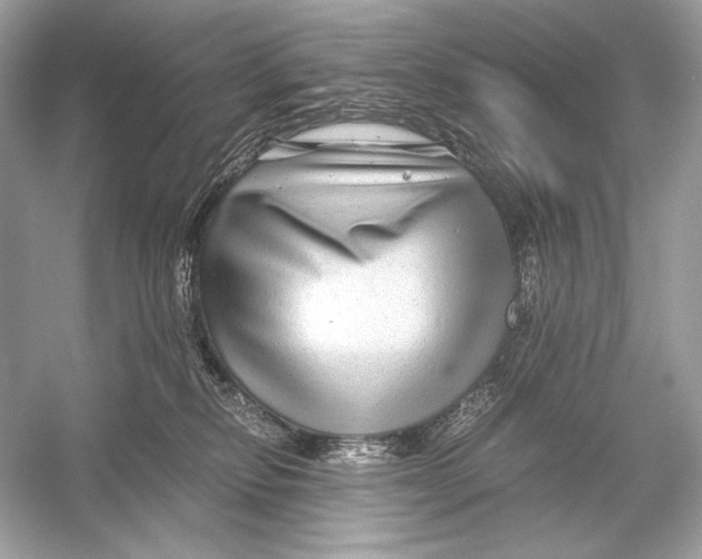 X0000051900278200507222050