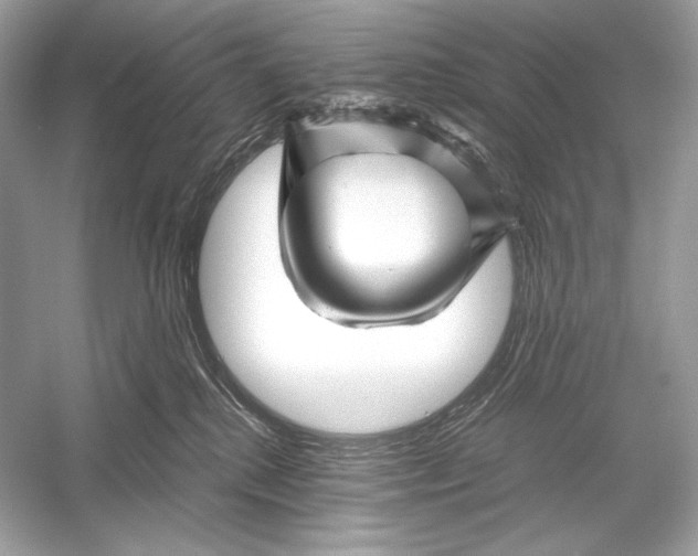 X0000051900280200507222050