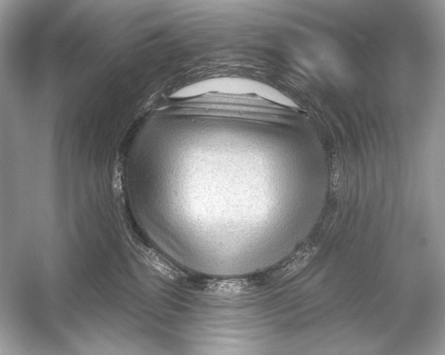 X0000051900282200507222050