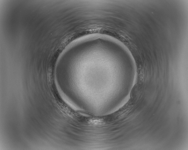 X0000051900283200507222050