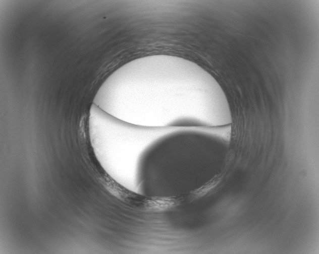X0000051900286200507222050