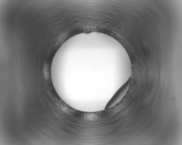 X0000051900287200507222050