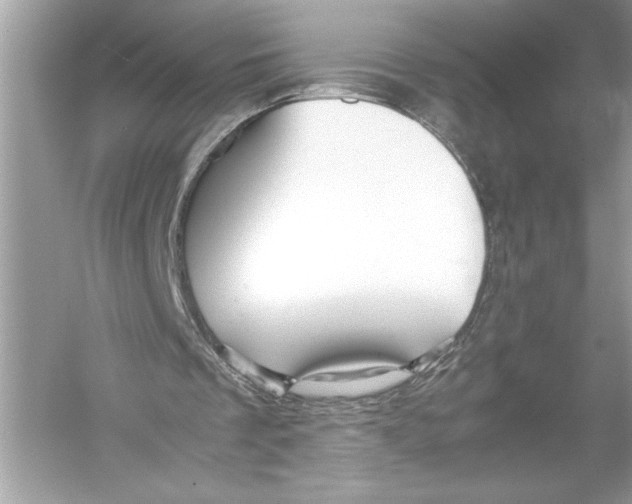 X0000051900289200507222049