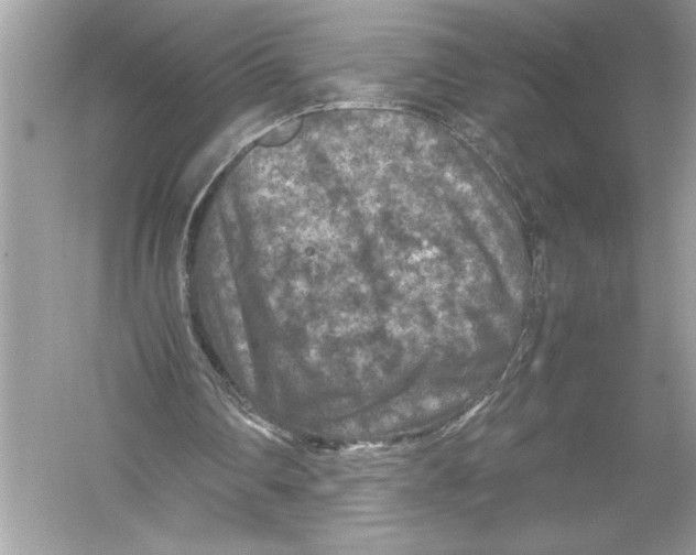 X0000051900290200507222049