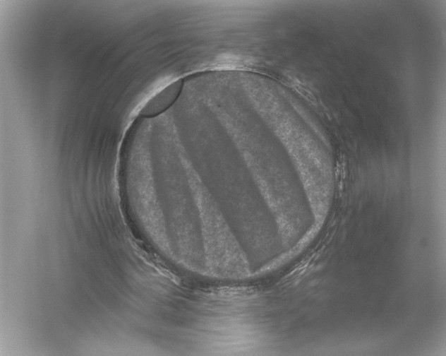 X0000051900292200507222049