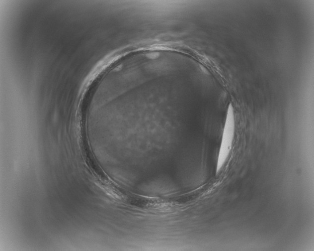X0000051900295200507222049