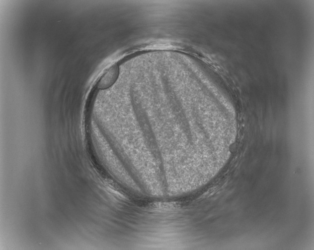 X0000051900296200507222049