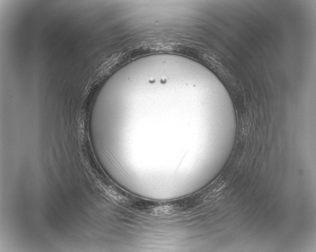 X0000051900309200507222049