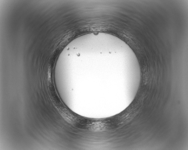 X0000051900310200507222049