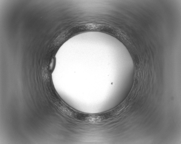 X0000051900317200507222049