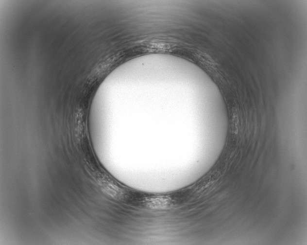 X0000051900318200507222049