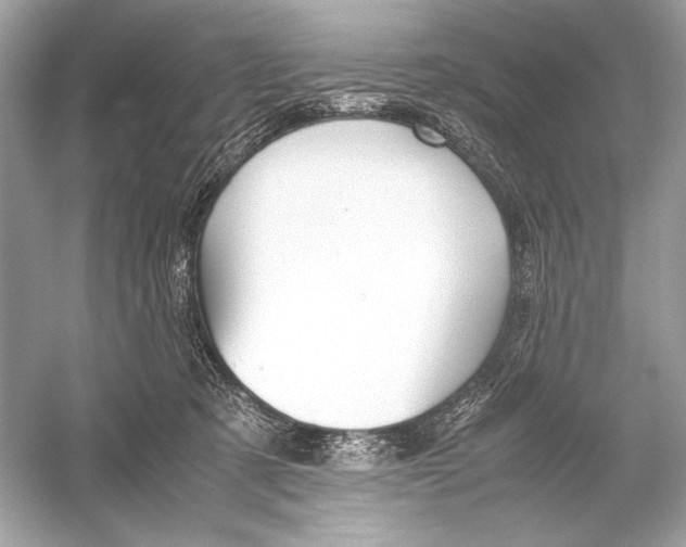 X0000051900321200507222049