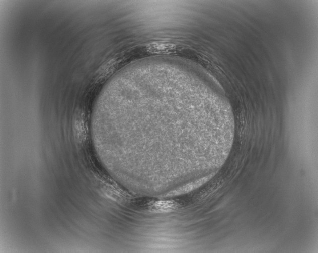 X0000051900324200507222049