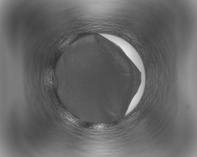 X0000051900325200507222049