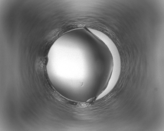 X0000051900329200507222048