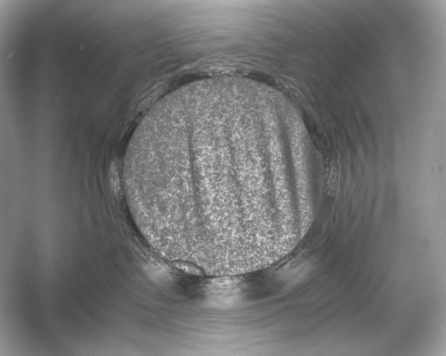 X0000051900335200507222048