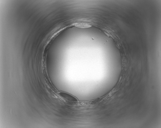 X0000051900338200507222048