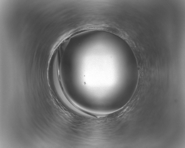 X0000051900340200507222048