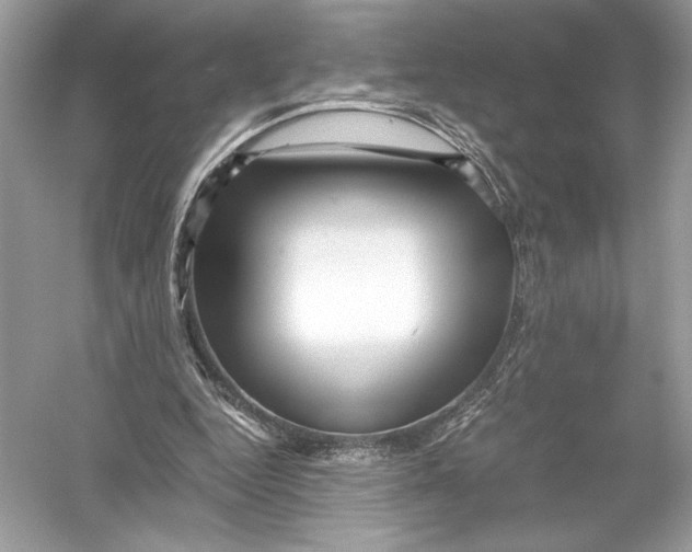 X0000051900344200507222048