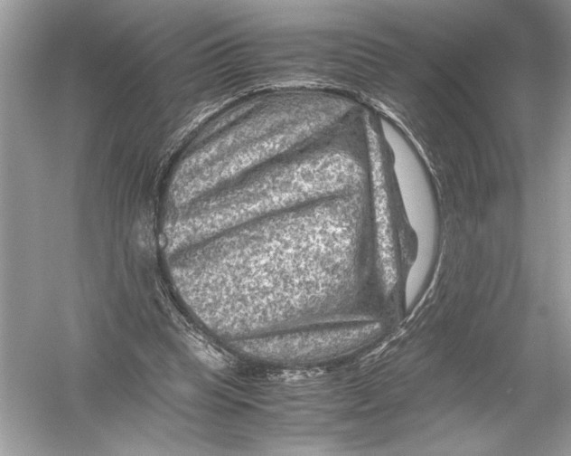 X0000051900345200507222048