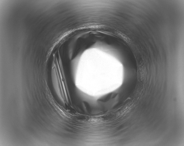 X0000051900350200507222048