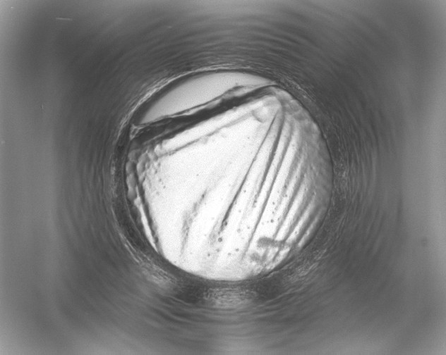 X0000051900351200507222048