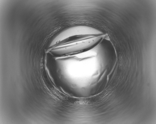 X0000051900356200507222048