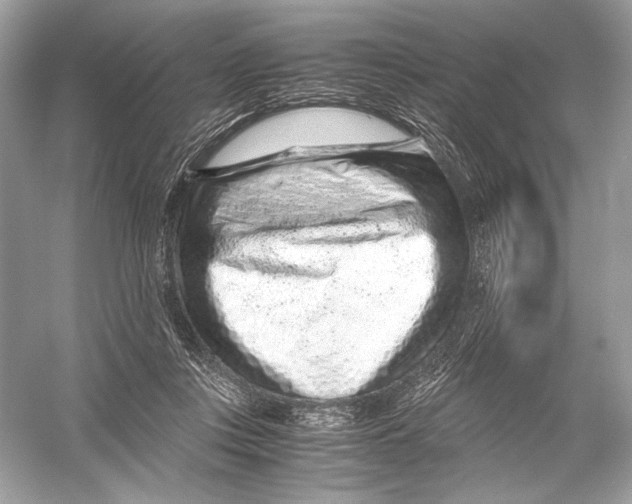 X0000051900359200507222048