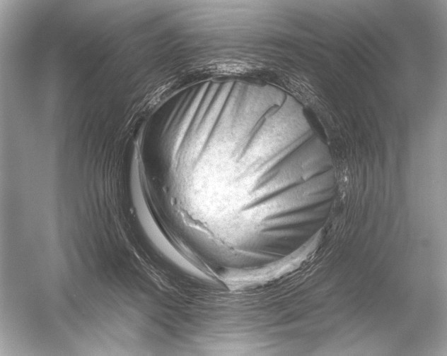 X0000051900360200507222048