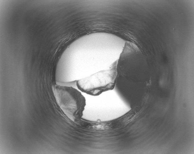 X0000051900365200507222048